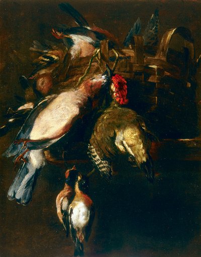 Still-life with cestode, a roller and two finches by Nicasius 1620 78 Bernaerts